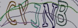Retype the CAPTCHA code from the image